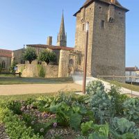 8eme édition Salon des artistes - Château d'Ardelay