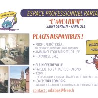 Places disponibles dans espace professionnel partagé à Toulouse _ Quartier Saint Sernin - Capitole