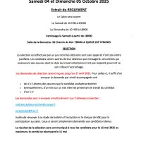 CANDIDATURE  du 15 ème SALON ART ACTUEL ET SINGULIER LES I-REELS -03 et 04 OCTOBRE